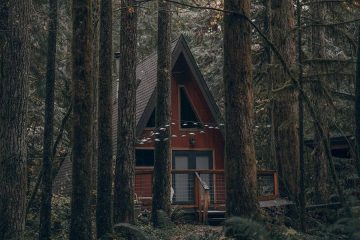 drewniany dom w lesie