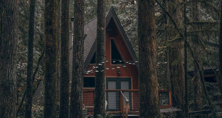 drewniany dom w lesie